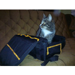 FOTO FATTE CON QUESTO TELEFONO