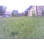 FOTO FATTE CON QUESTO TELEFONO