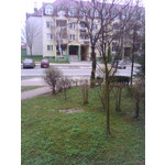 FOTO FATTE CON QUESTO TELEFONO