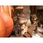 Pictures by this phone Alcatel Shine Lite