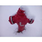 FOTO'S VAN DEZE TELEFOON