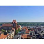 Foto dei utenti Apple iPad mini 4 WiFi