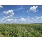 PICTURES FROM THIS PHONE