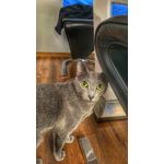 PICTURES FROM THIS PHONE