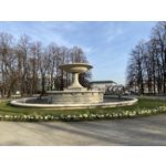 Selbst von Nutzern gemachte Bilder Apple iPhone 11