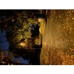 Selbst von Nutzern gemachte Bilder Apple iPhone 11