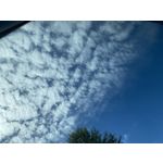 Selbst von Nutzern gemachte Bilder Apple iPhone 11