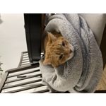 來自這款手機的圖片