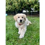 FOTOS AUS DIESEM HANDY