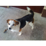 Фотографии пользователя Apple iPhone 3G 8GB