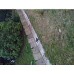 Фотографии пользователя Apple iPhone 3G 8GB