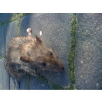 Фотографии пользователя Apple iPhone 3G 8GB