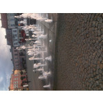 来自这款手机的图片