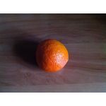 來自這款手機的圖片