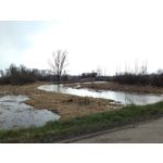 來自這款手機的圖片