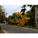 ФОТКИ СНЯТЫЕ ДАННЫМ МОБИЛЬНИКОМ