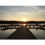 來自這款手機的圖片