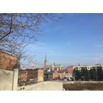 Imágenes de los usuarios Apple iPhone 6