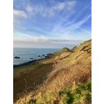 Imágenes de los usuarios Apple iPhone 7 Plus