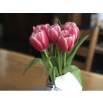 Imágenes de los usuarios Apple iPhone 7 Plus