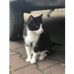 PICTURES FROM THIS PHONE