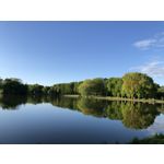 FOTO FATTE CON QUESTO TELEFONO