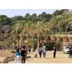 來自這款手機的圖片