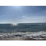 來自這款手機的圖片