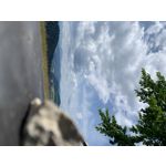 PICTURES FROM THIS PHONE