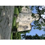 PICTURES FROM THIS PHONE