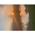 来自这款手机的图片