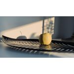 来自这款手机的图片