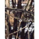 来自这款手机的图片