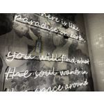 Imágenes de los usuarios Apple iPhone 16 Pro Max