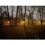 Imágenes de los usuarios Apple iPhone 16 Pro Max