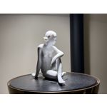 Imágenes de los usuarios Apple iPhone 16 Pro Max