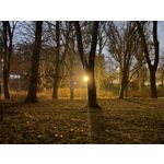 Imágenes de los usuarios Apple iPhone 16 Pro Max