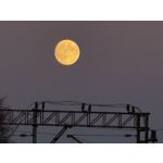 Imágenes de los usuarios Apple iPhone 16 Pro Max