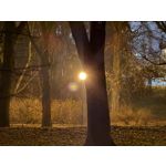 Imágenes de los usuarios Apple iPhone 16 Pro Max