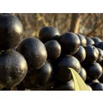 Imágenes de los usuarios Apple iPhone 16 Pro Max