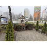 Imágenes de los usuarios Apple iPhone 16 Pro Max