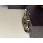 FOTO FATTE CON QUESTO TELEFONO