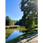 PICTURES FROM THIS PHONE