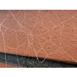 来自这款手机的图片 来自这款手机的图片