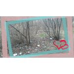 PICTURES FROM THIS PHONE