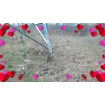 PICTURES FROM THIS PHONE