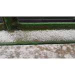 FOTO'S VAN DEZE TELEFOON