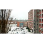 Imágenes de los usuarios Asus ZenFone 3 Max ZC520TL