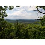 FOTO FATTE CON QUESTO TELEFONO