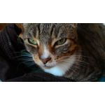 来自这款手机的图片